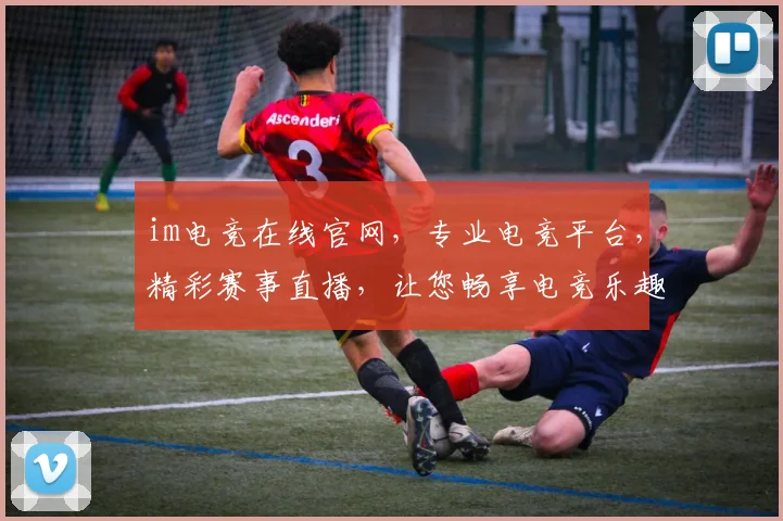 im电竞在线官网，专业电竞平台，精彩赛事直播，让您畅享电竞乐趣，尽在官网逗逗逗