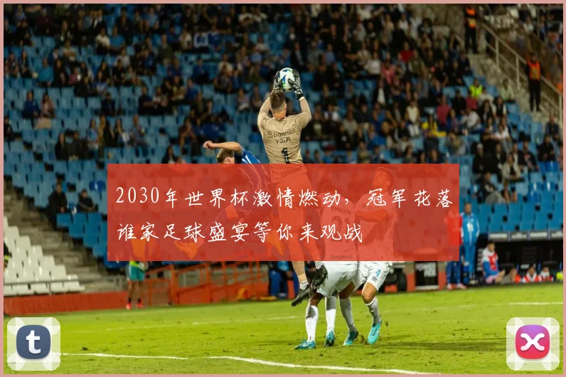 2030年世界杯激情燃动，冠军花落谁家足球盛宴等你来观战