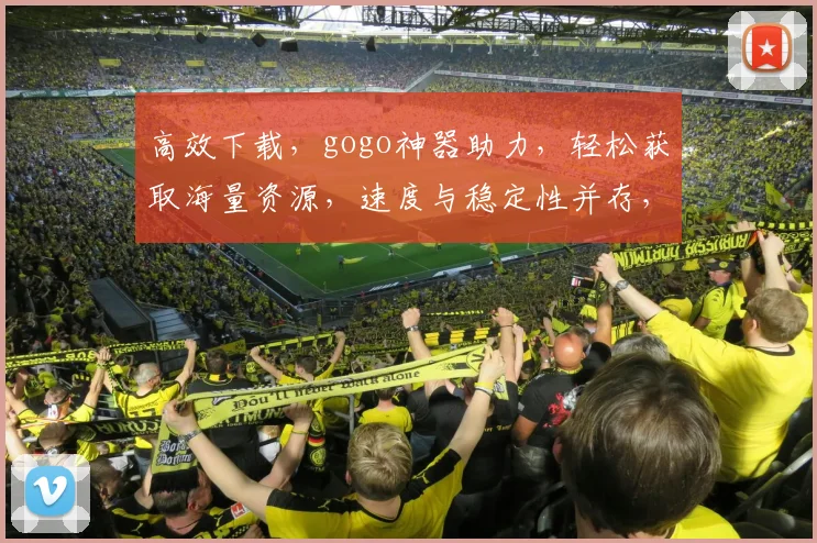 高效下载，gogo神器助力，轻松获取海量资源，速度与稳定性并存，告别等待