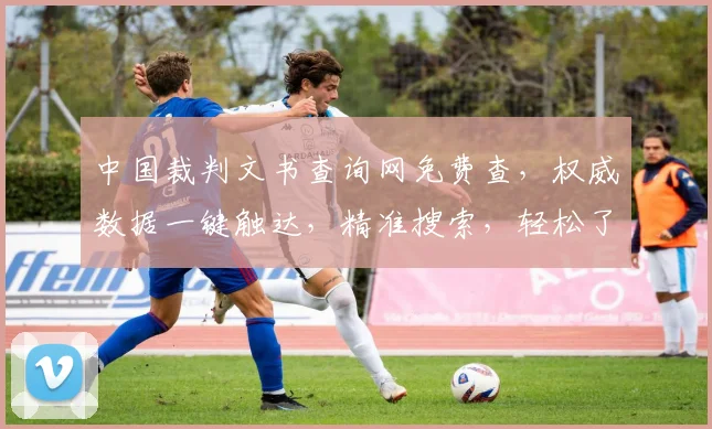 中国裁判文书查询网免费查，权威数据一键触达，精准搜索，轻松了解，三步到位